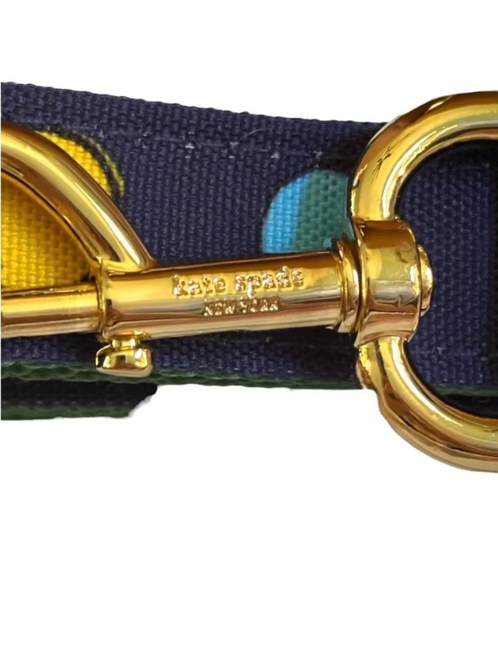 KATE SPADE➕NWT Watercolor Dot Pet Leash